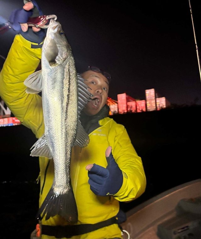 シーバス(スズキ)