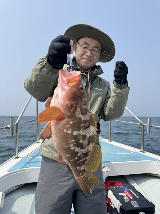 アコウ(キジハタ)