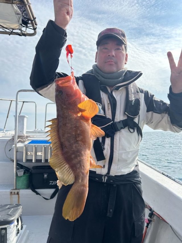 アコウ(キジハタ)