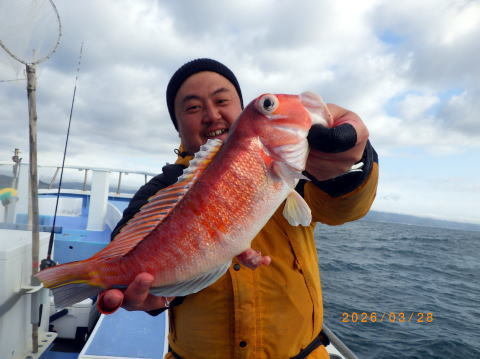 アマダイ(アカアマダイ)