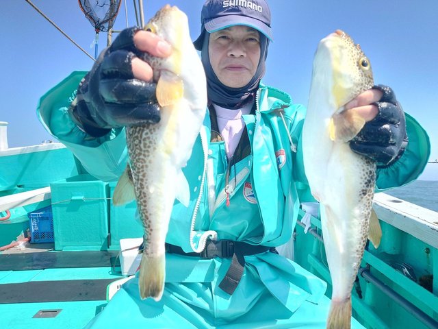 ショウサイフグ