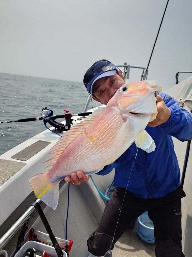 アマダイ(アカアマダイ)