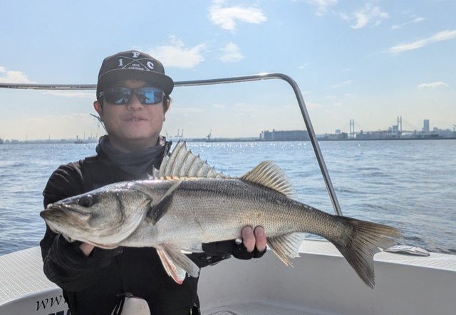 シーバス(スズキ)