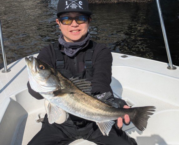 シーバス(スズキ)