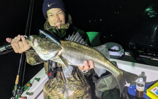 シーバス(スズキ)