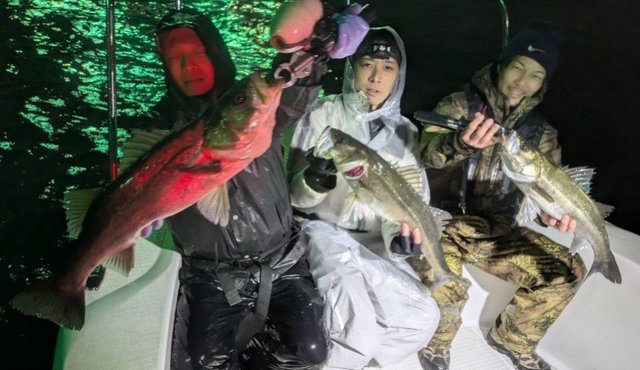 シーバス(スズキ)