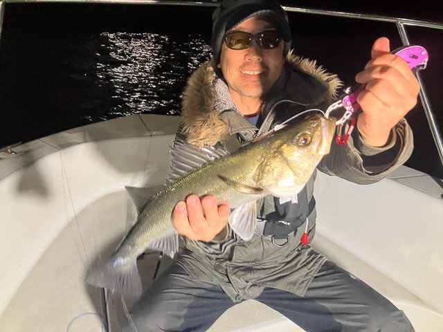 シーバス(スズキ)