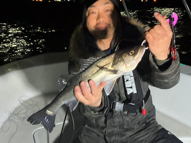 シーバス(スズキ)