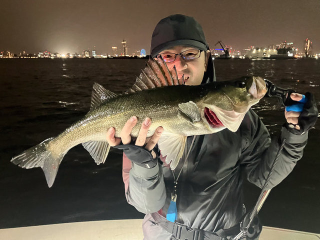 シーバス(スズキ)