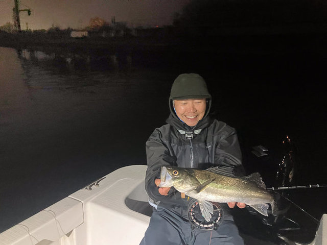 シーバス(スズキ)