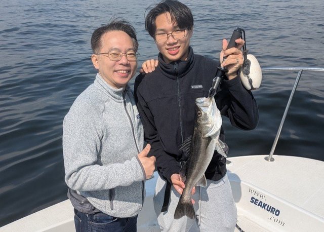 シーバス(スズキ)