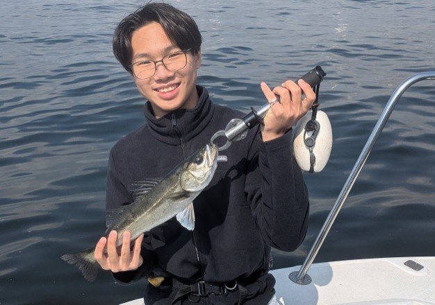 シーバス(スズキ)