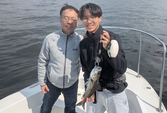 シーバス(スズキ)