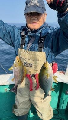 イサギ(イサキ)