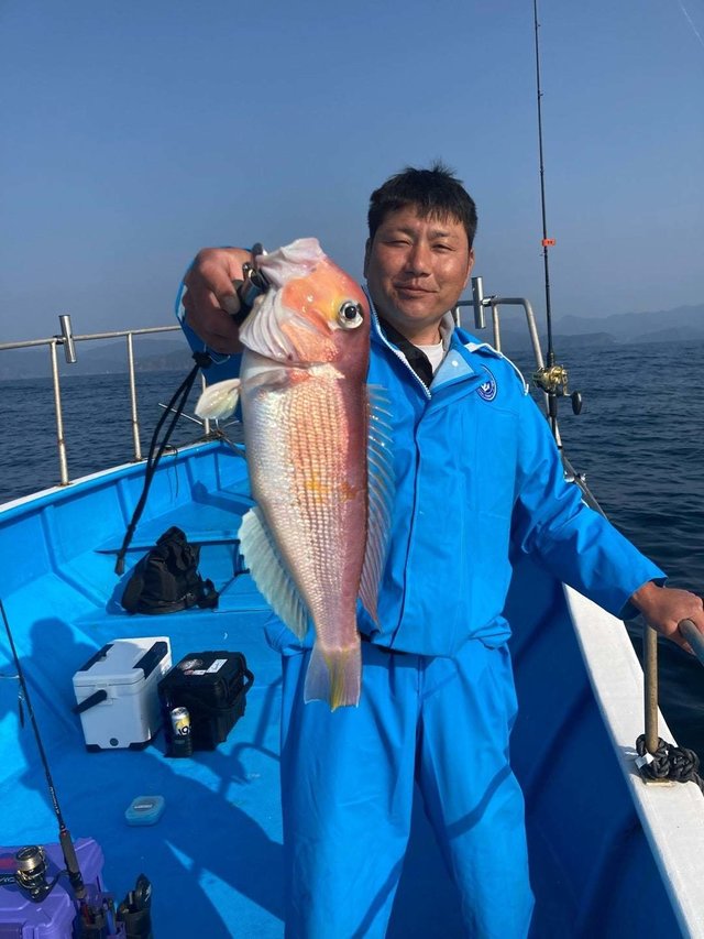 アマダイ(アカアマダイ)