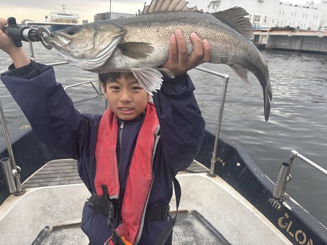 シーバス(スズキ)