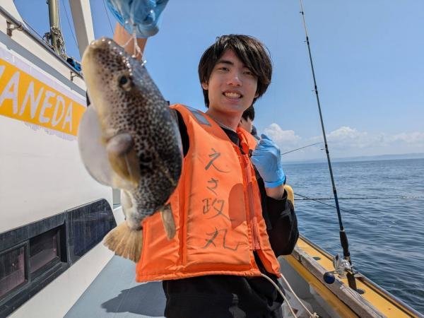 ショウサイフグ