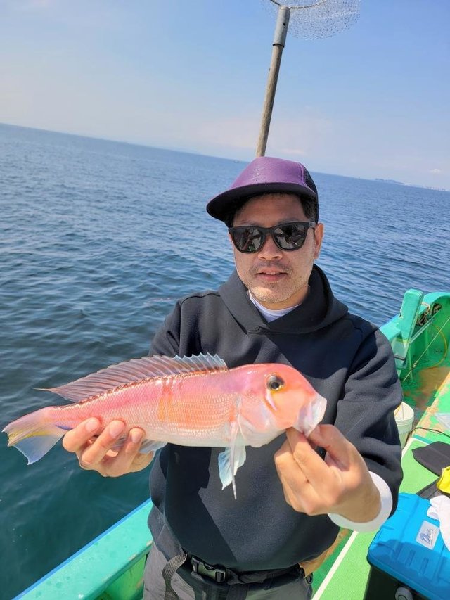 アマダイ(アカアマダイ)