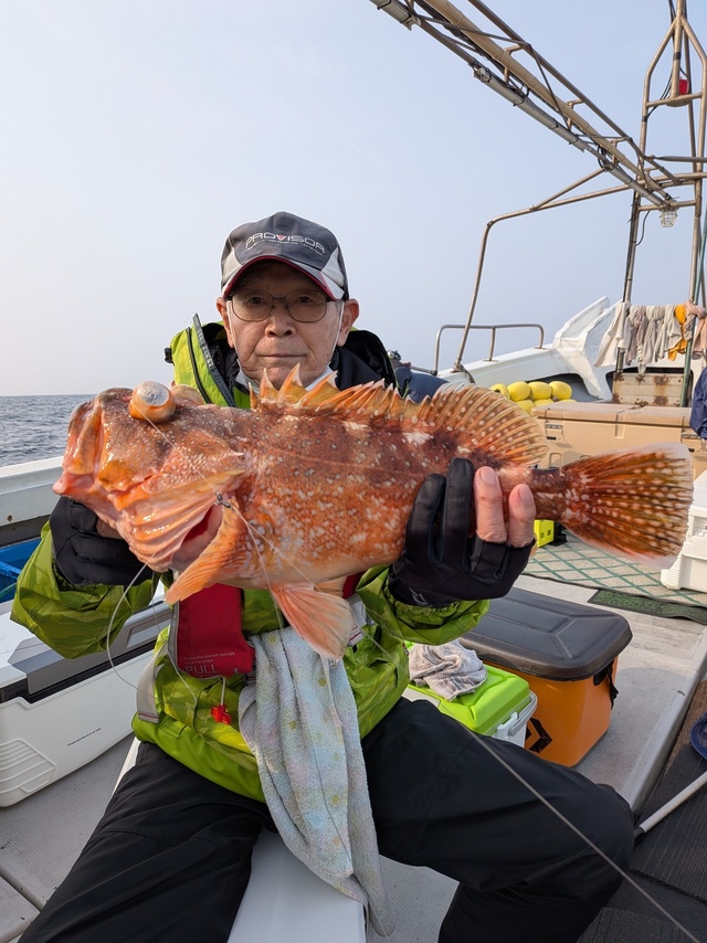 アラカブ(カサゴ)