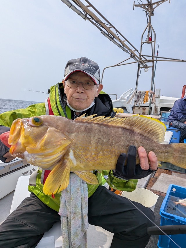 アオナ(アオハタ)