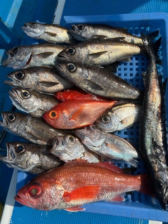 クロムツ・アカムツ・スミヤキ(クロシビカマス)・キンメダイ・シロムツ(オオメハタ)