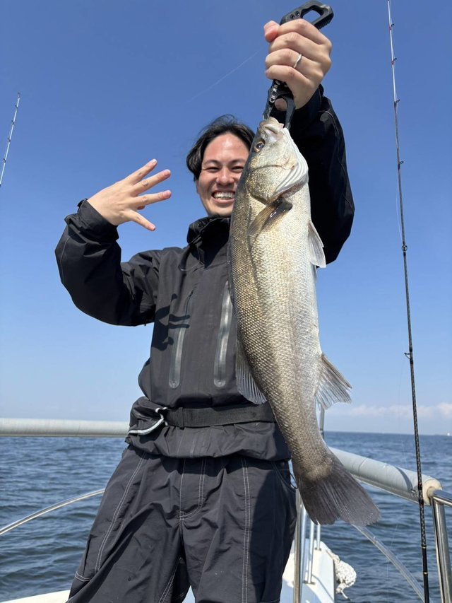 シーバス(スズキ)