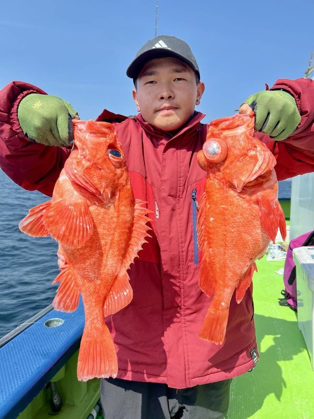 アコウダイ・ユメカサゴ