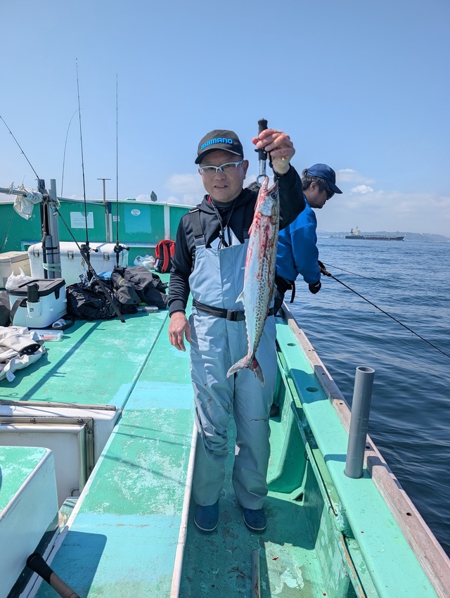 サゴシの釣果写真