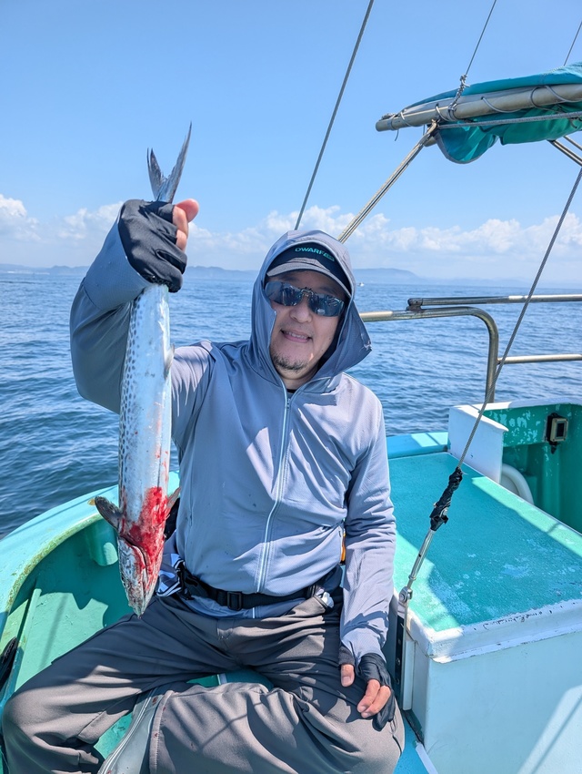 サゴシ(サワラ)