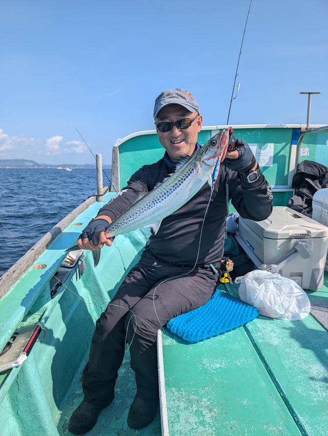 サゴシ(サワラ)