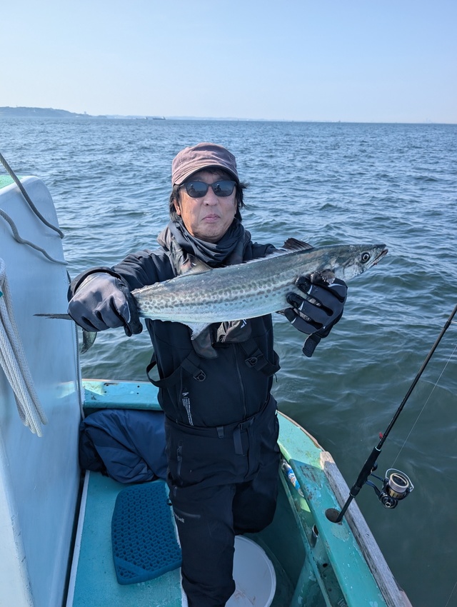 サゴシ(サワラ)