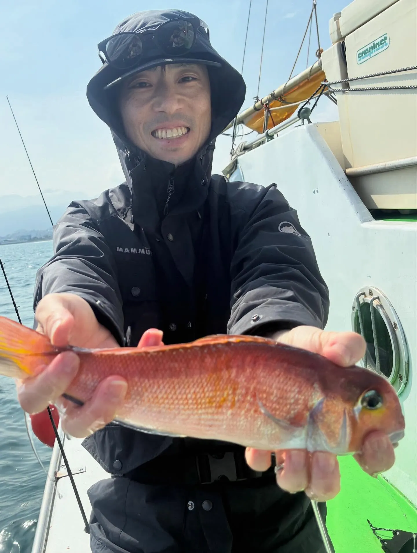 アマダイ(アカアマダイ)