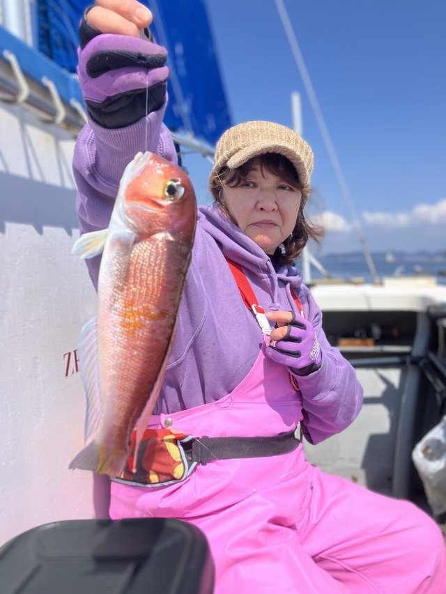 アマダイ(アカアマダイ)