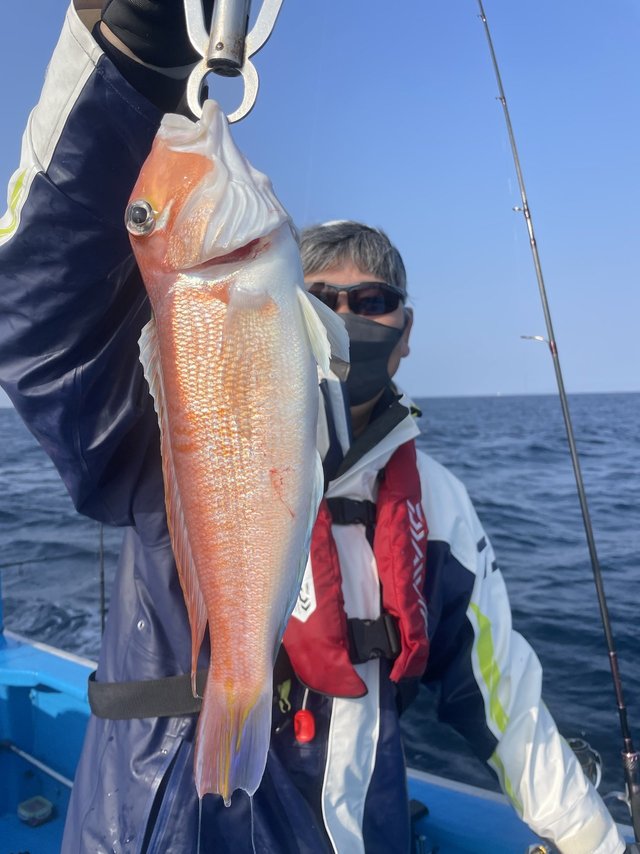 アマダイ(アカアマダイ)