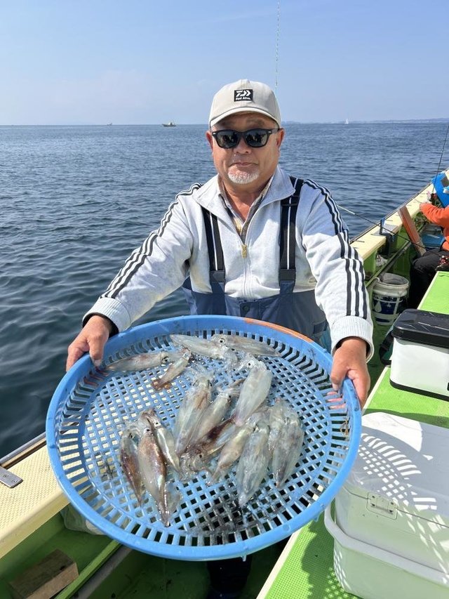 マルイカ(ケンサキイカ)