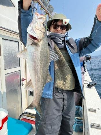 シーバス(スズキ)