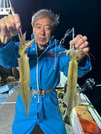 ヤリイカ