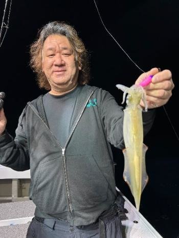 ヤリイカ