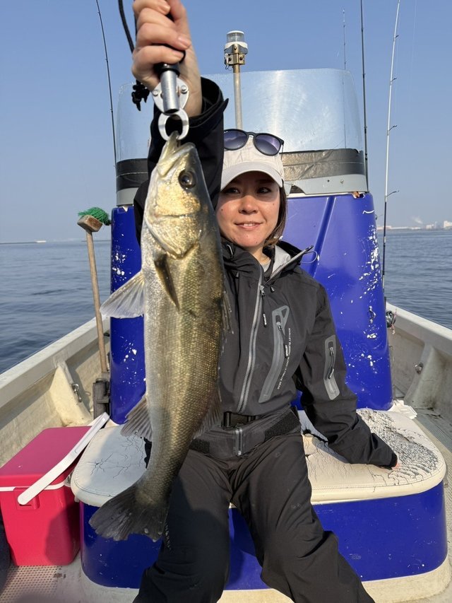 シーバス(スズキ)