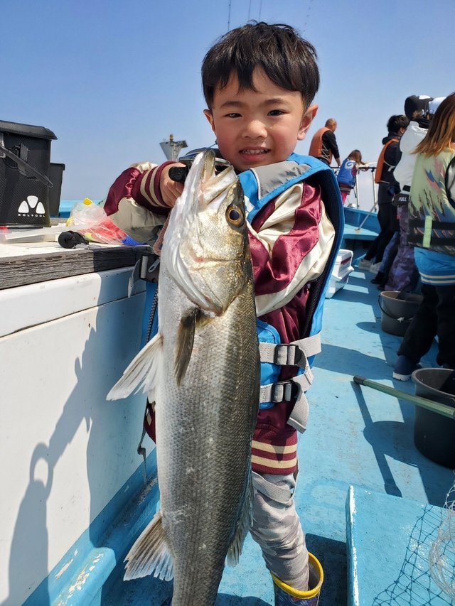 シーバス(スズキ)