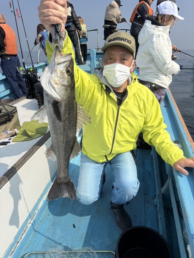 シーバス(スズキ)