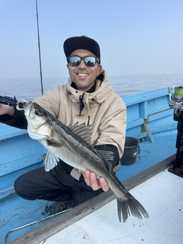 シーバス(スズキ)