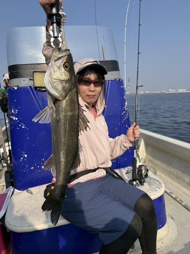 シーバス(スズキ)