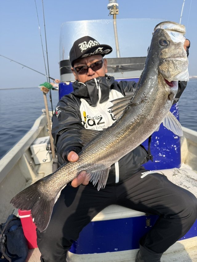 シーバス(スズキ)