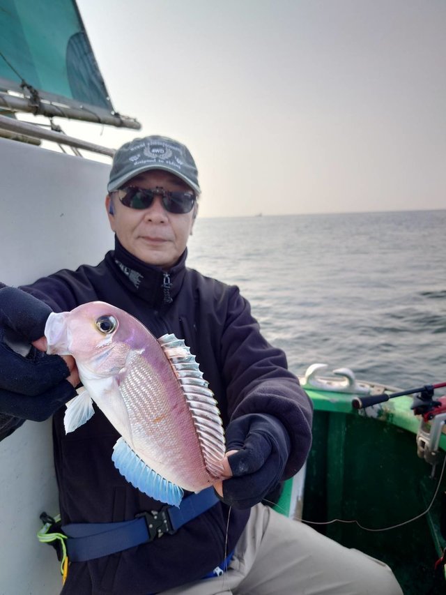 アマダイ(アカアマダイ)