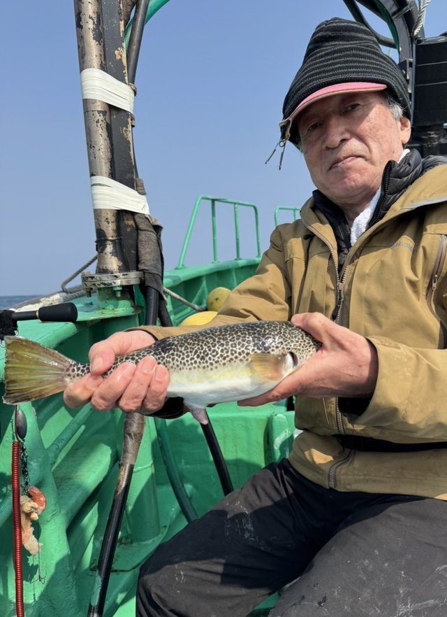 ショウサイフグ