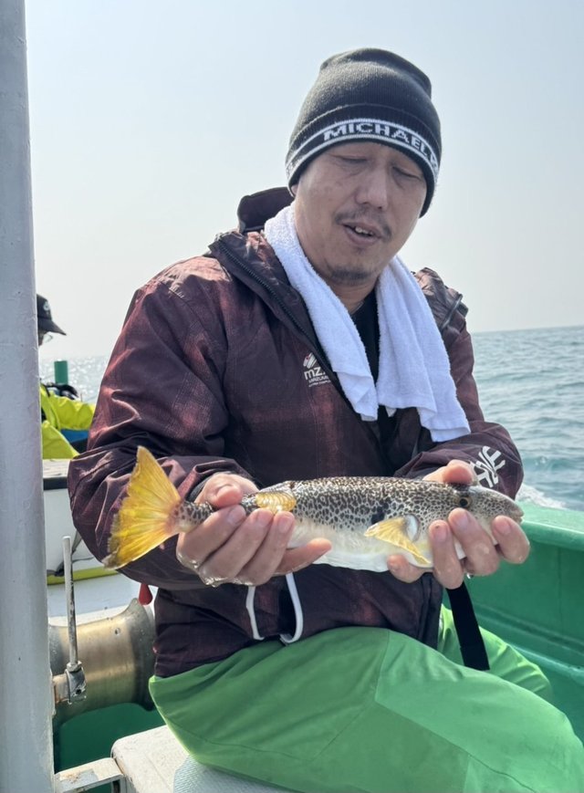 ショウサイフグ