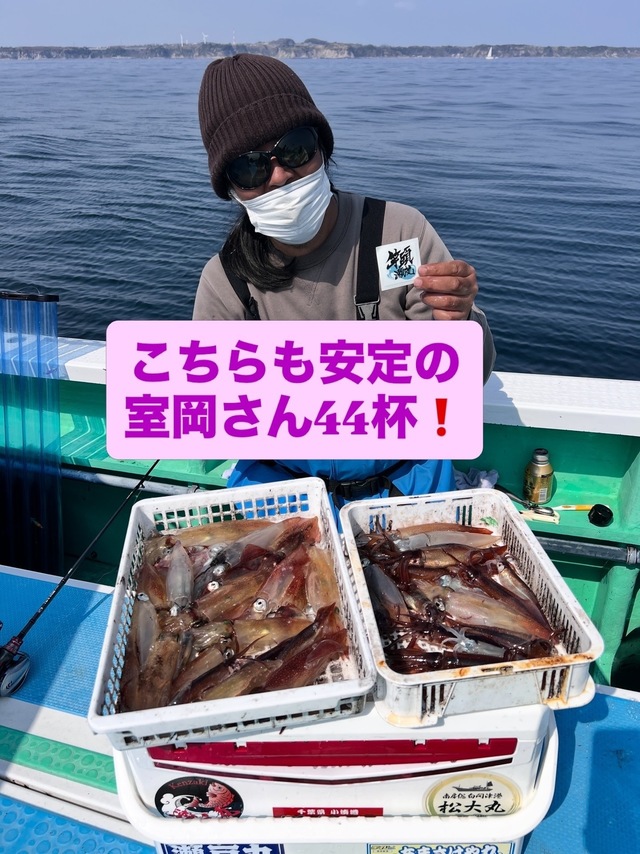 マルイカ(ケンサキイカ)