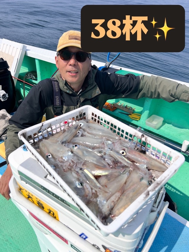 マルイカ(ケンサキイカ)