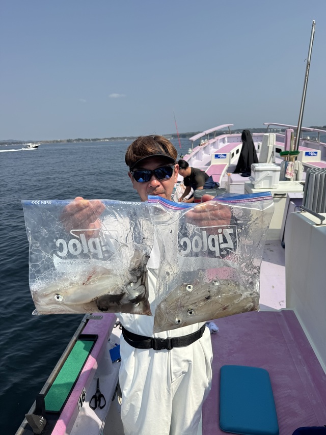 マルイカ(ケンサキイカ)